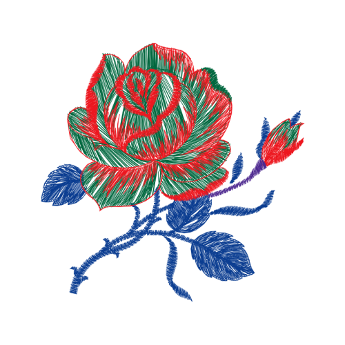 Flower Flowers Flower Flowers