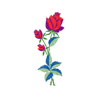 Flower Flowers Flower Flowers