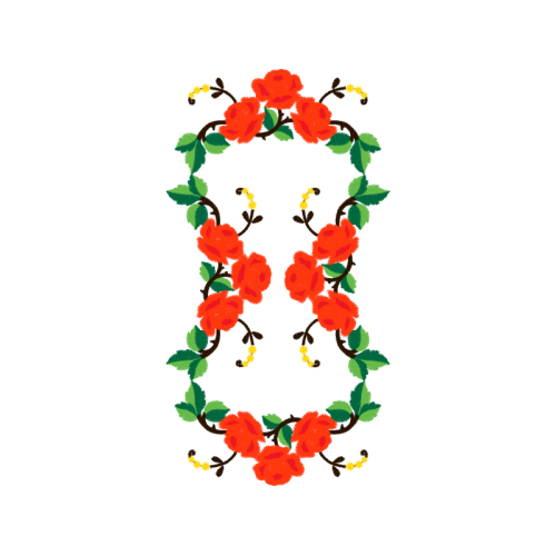 Flower Flowers Flower Flowers