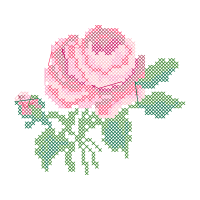 Flower Flowers Flower Flowers