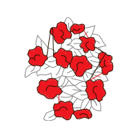 Flower Flowers Flower Flowers