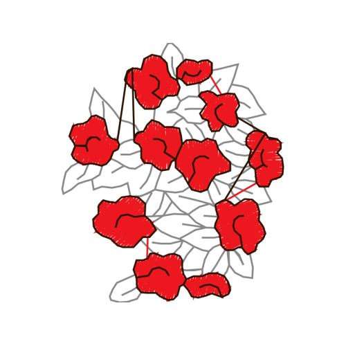 Flower Flowers Flower Flowers