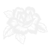 Flower Flowers Flower Flowers