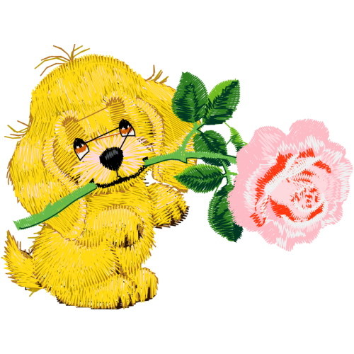 Flower Flowers Flower Flowers