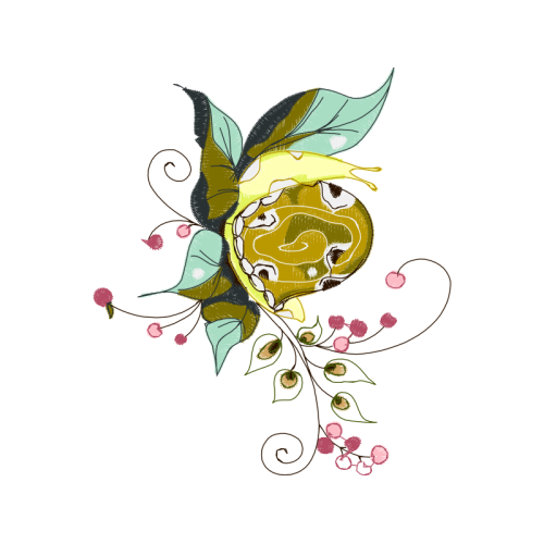 Flower Flowers Flower Flowers