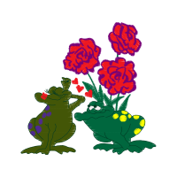 Flower Flowers Flower Flowers