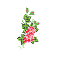 Flower Flowers Flower Flowers