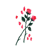 Flower Flowers Flower Flowers