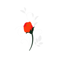 Flower Flowers Flower Flowers