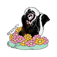 Flower Flowers Flower Flowers