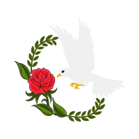 French Rose Flowers French Rose Flowers