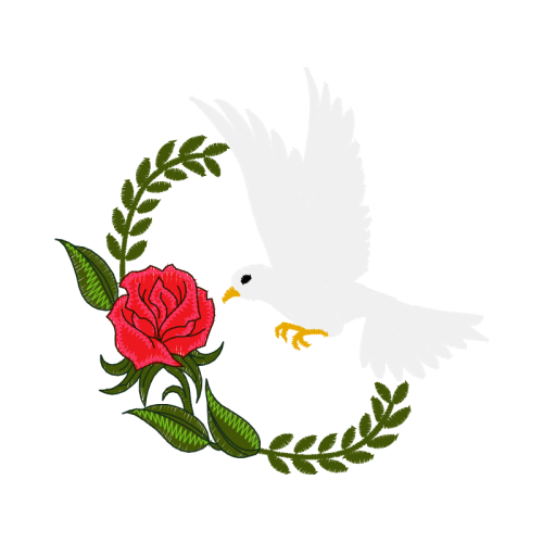 French Rose Flowers French Rose Flowers