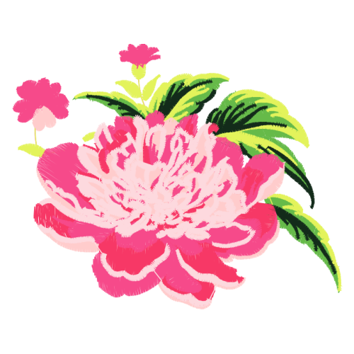 French Rose Flowers French Rose Flowers