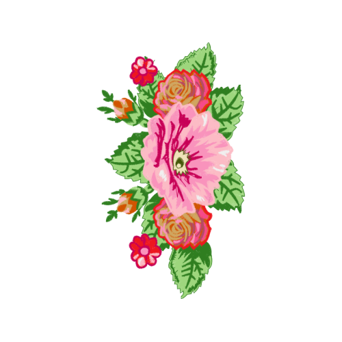 French Rose Flowers French Rose Flowers