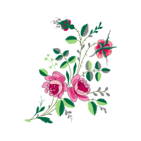 French Rose Flowers French Rose Flowers