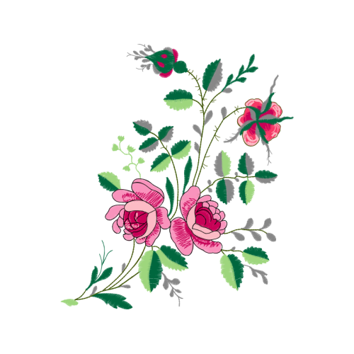 French Rose Flowers French Rose Flowers