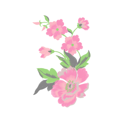 French Rose Flowers French Rose Flowers