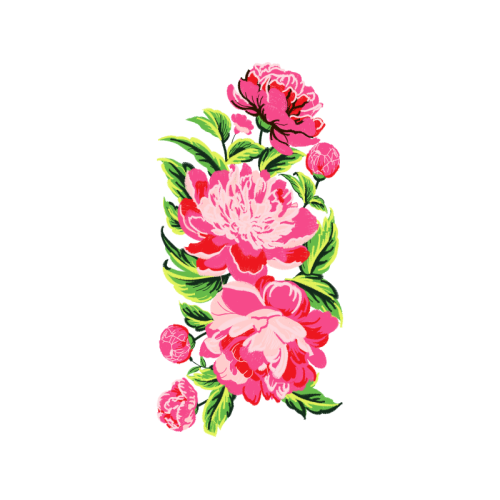 French Rose Flowers French Rose Flowers