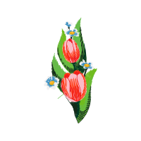 Garden Roses Flowers Garden Roses Flowers