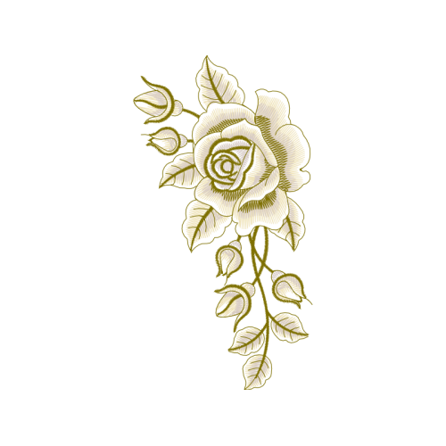 Garden Roses Flowers Garden Roses Flowers