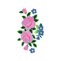 Garden Roses Flowers Garden Roses Flowers