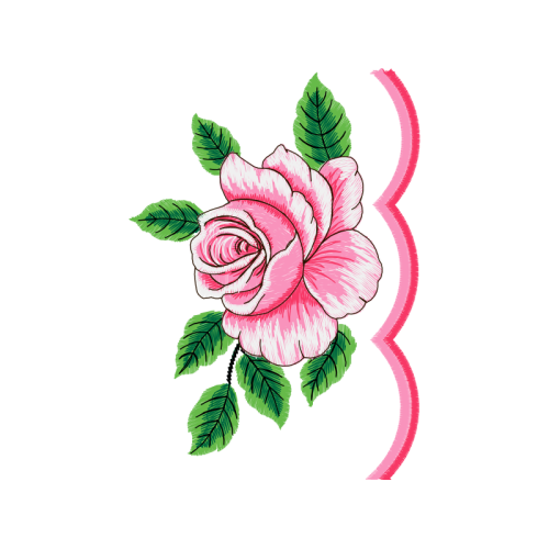 Garden Roses Flowers Garden Roses Flowers