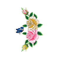 Garden Roses Flowers Garden Roses Flowers