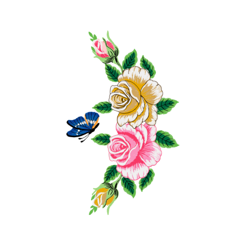 Garden Roses Flowers Garden Roses Flowers