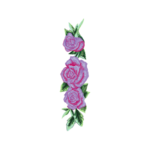 Garden Roses Flowers Garden Roses Flowers