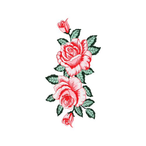 Garden Roses Flowers Garden Roses Flowers