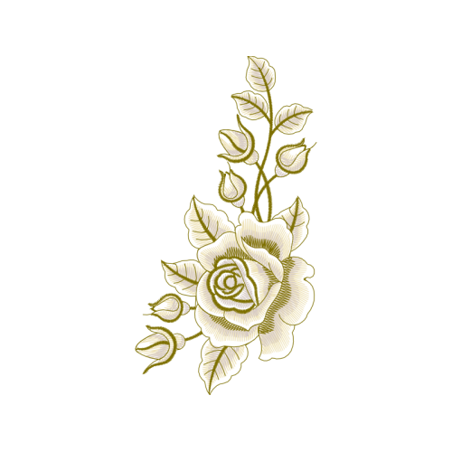 Garden Roses Flowers Garden Roses Flowers