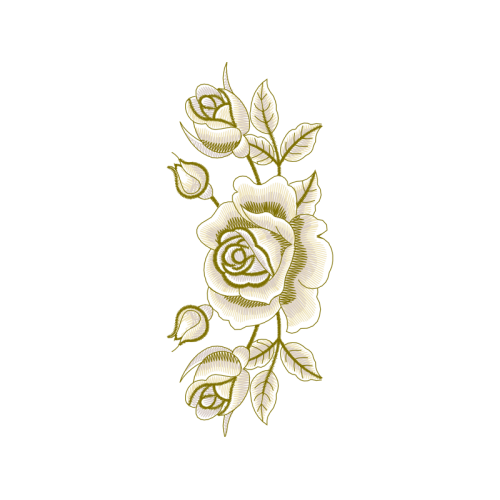 Garden Roses Flowers Garden Roses Flowers