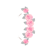 Garden Roses Flowers