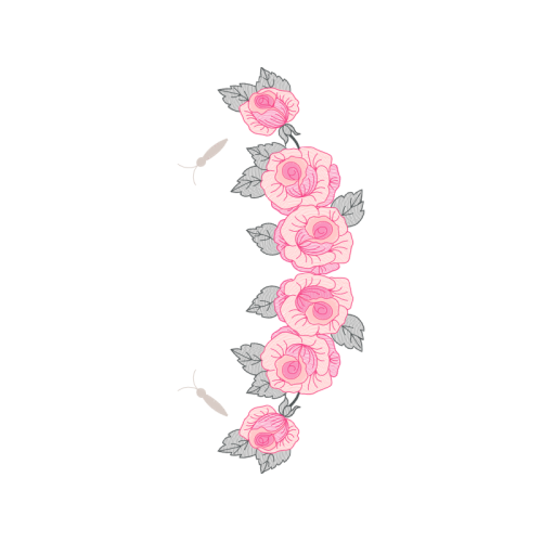 Garden Roses Flowers Garden Roses Flowers