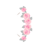 Garden Roses Flowers