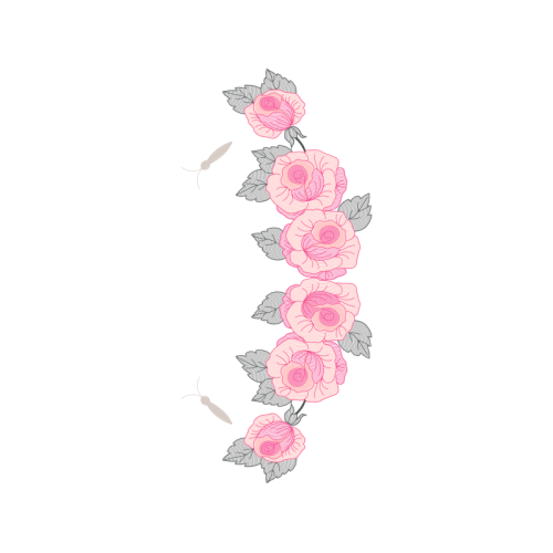 Garden Roses Flowers Garden Roses Flowers