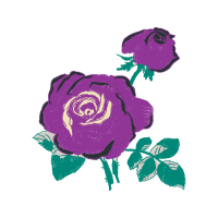 Garden Roses Flowers Garden Roses Flowers