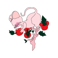 Garden Roses Flowers Garden Roses Flowers