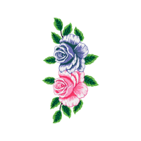 Garden Roses Flowers