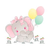 Garden Roses Flowers