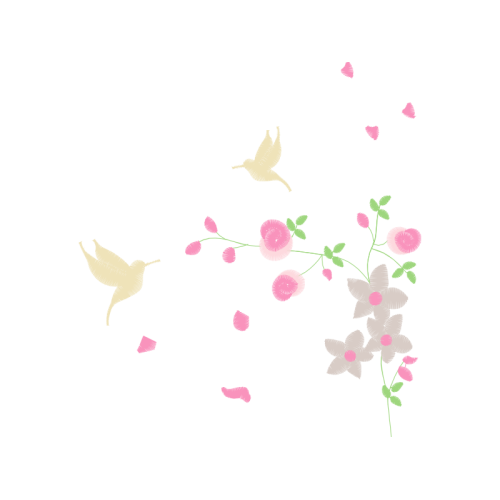 Garden Roses Flowers Garden Roses Flowers