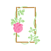 Garden Roses Flowers Garden Roses Flowers