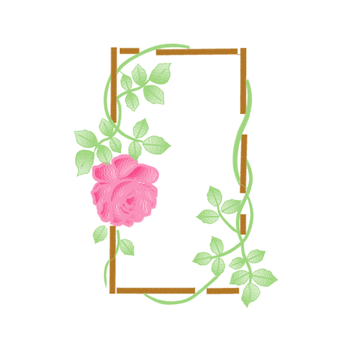 Garden Roses Flowers Garden Roses Flowers