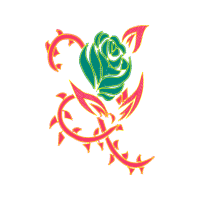 Garden Roses Flowers Garden Roses Flowers