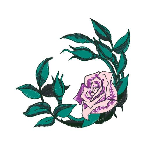 Garden Roses Flowers Garden Roses Flowers