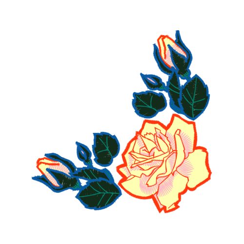 Garden Roses Flowers