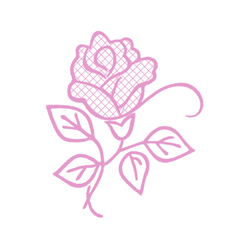 Garden Roses Flowers Garden Roses Flowers