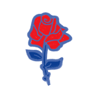 Garden Roses Flowers Garden Roses Flowers