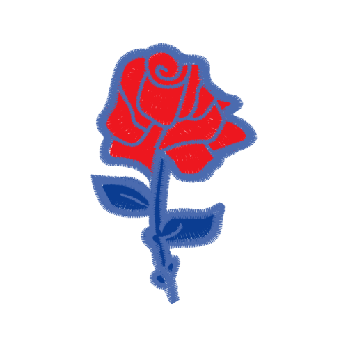 Garden Roses Flowers Garden Roses Flowers