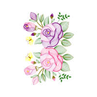 Garden Roses Flowers Garden Roses Flowers